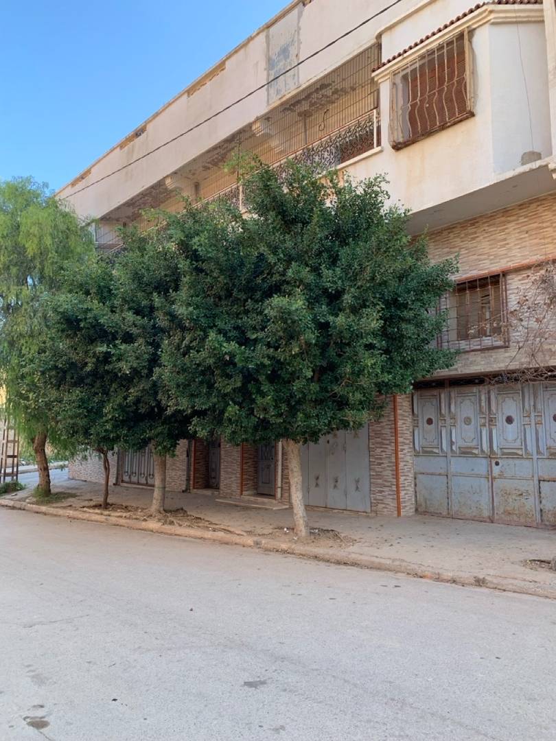 AV vendre Villa + commerce
