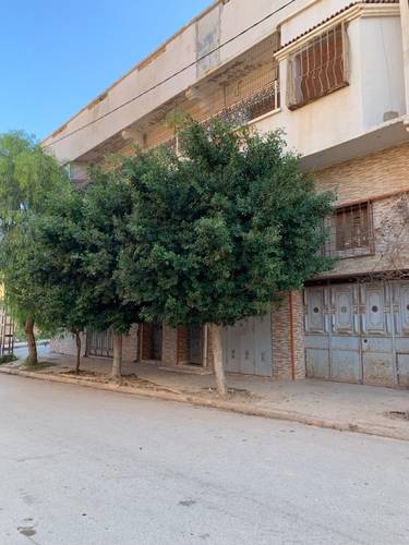 AV vendre Villa + commerce 