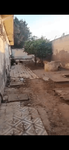 Lot de terrain à vendre à senia 