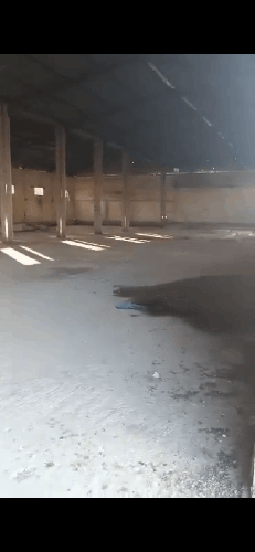 Lot de terrain à vendre à senia 