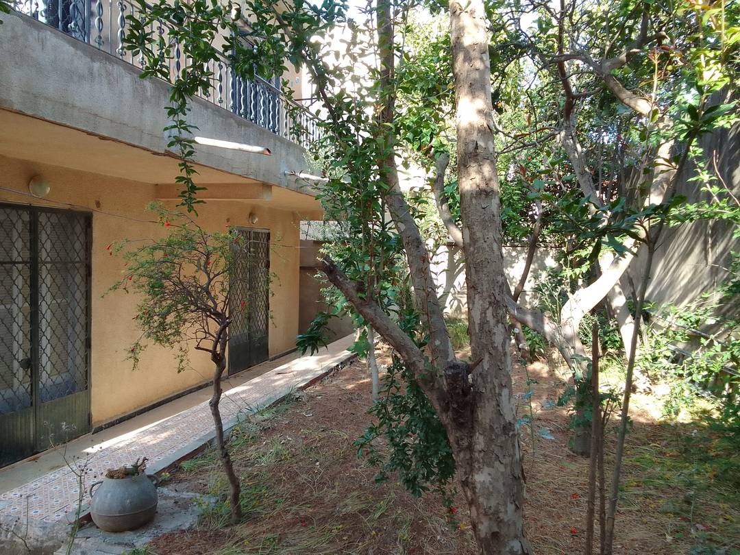 Vente Villa Alger Douera