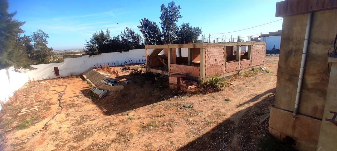 Terrain Agricole de 7500 m² avec Surface Bâtie à Sidi Khettab, Relizane – Permis de Construire Délivré !