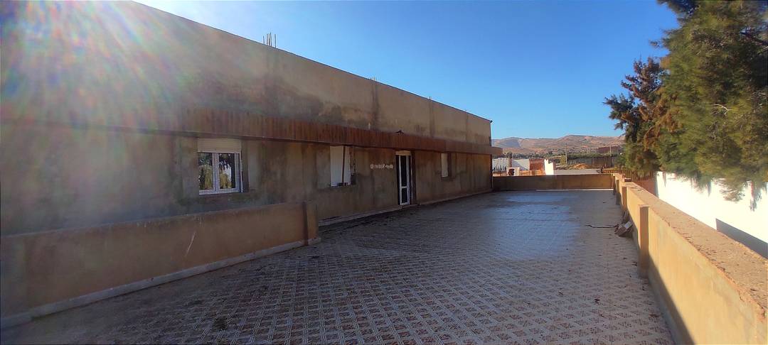 Terrain Agricole de 7500 m² avec Surface Bâtie à Sidi Khettab, Relizane – Permis de Construire Délivré !