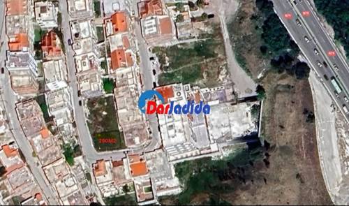 Terrain Eucalyptus, Constantine