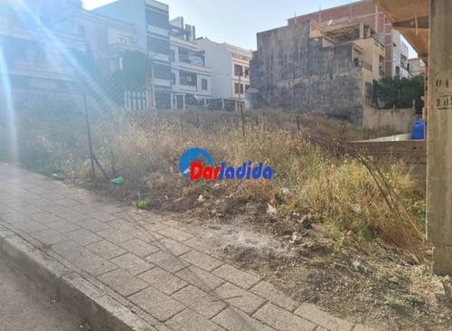 Terrain Eucalyptus, Constantine