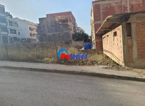 Terrain Eucalyptus, Constantine