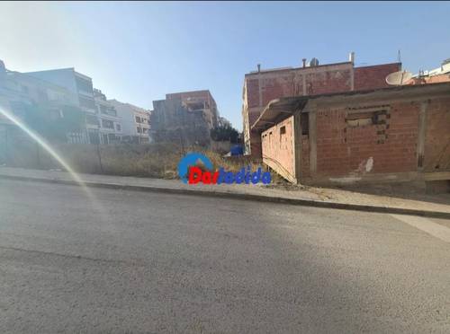 Terrain Eucalyptus, Constantine