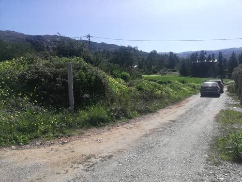 TERRAIN A VENDRE A TIFRA / TIGZIRT