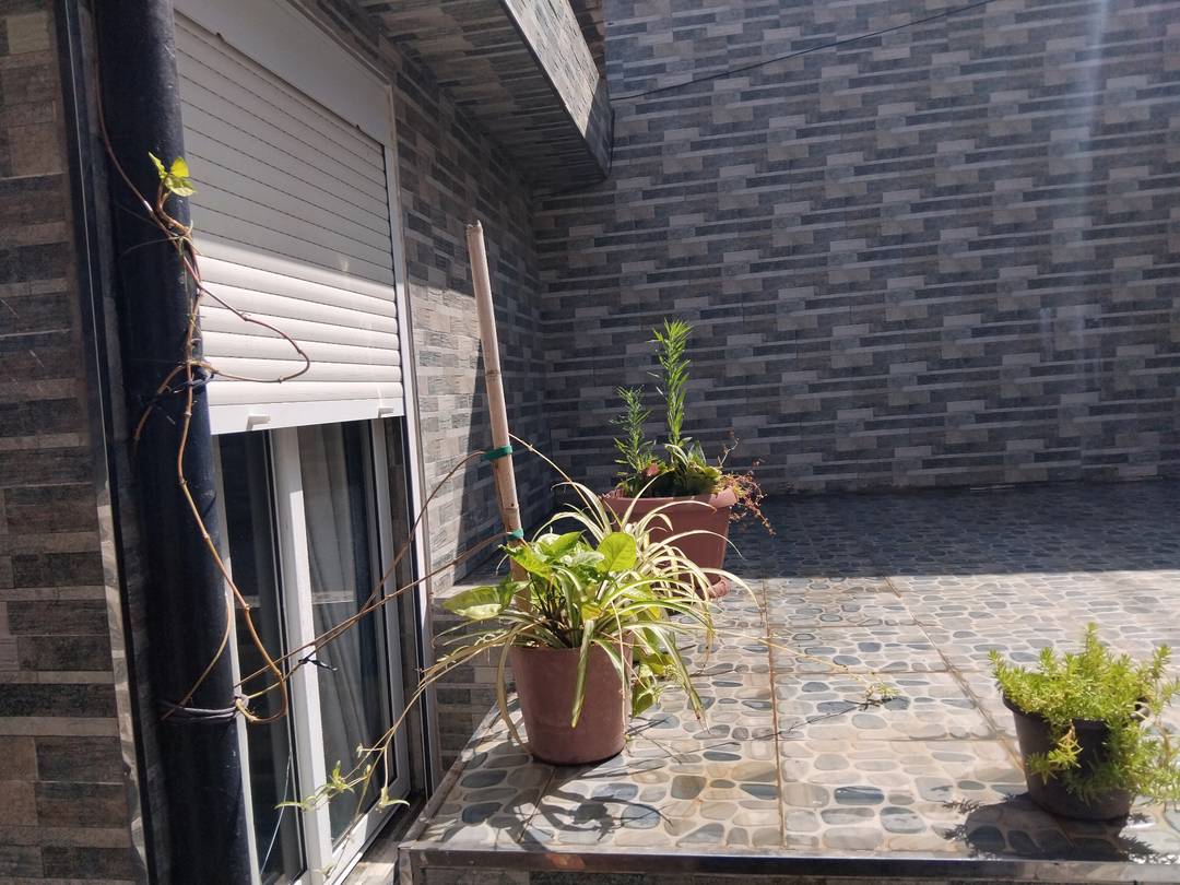 Pavillon R+2 avec garage à Hydra, disponible immédiatement.
