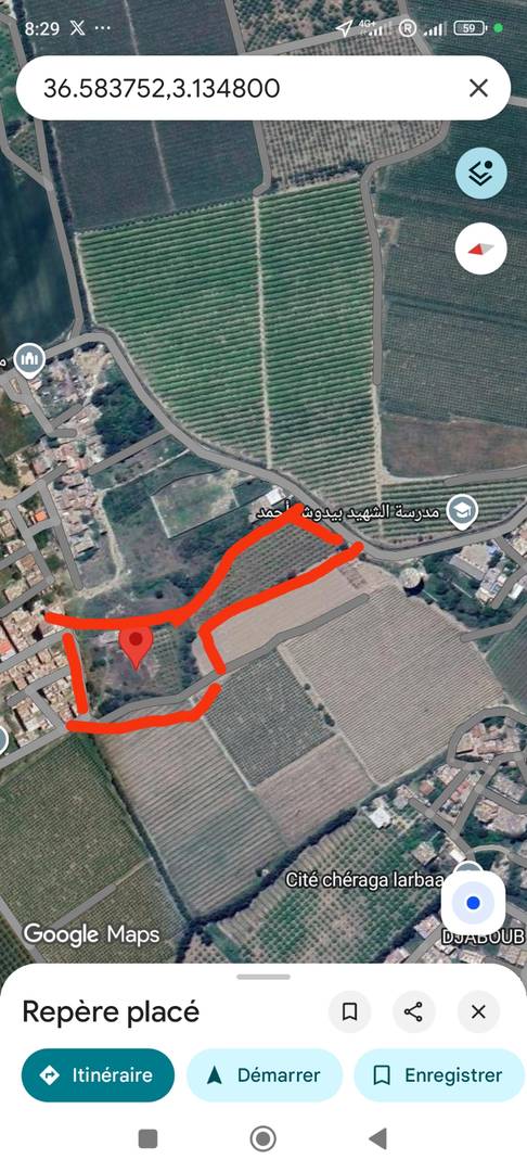 Vente terrain constructible larbaa