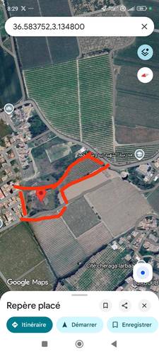 Vente terrain constructible larbaa