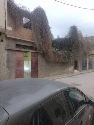 ارض للبيع وسط مدينة وهران boulanger 