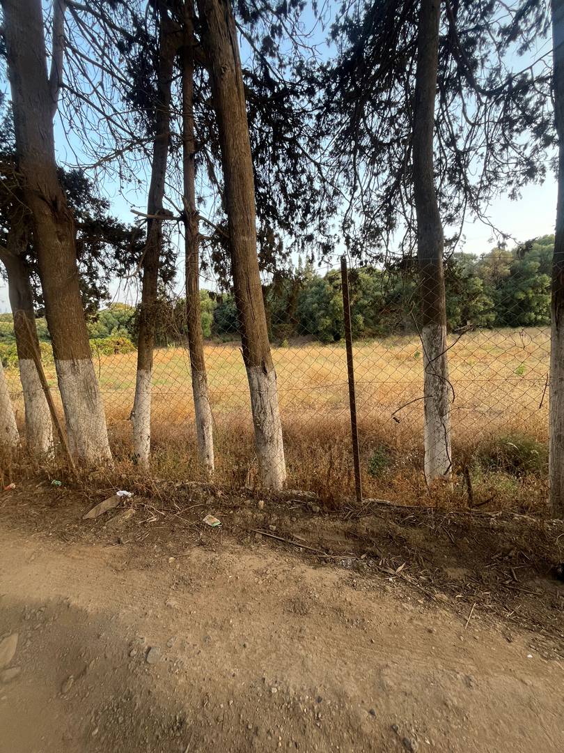 À VENDRE – TERRAIN AGRICOLE ENTRE KOLEA ET BARBISSA