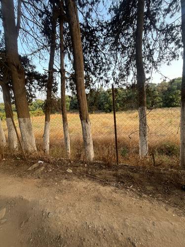 À VENDRE – TERRAIN AGRICOLE ENTRE KOLEA ET BARBISSA