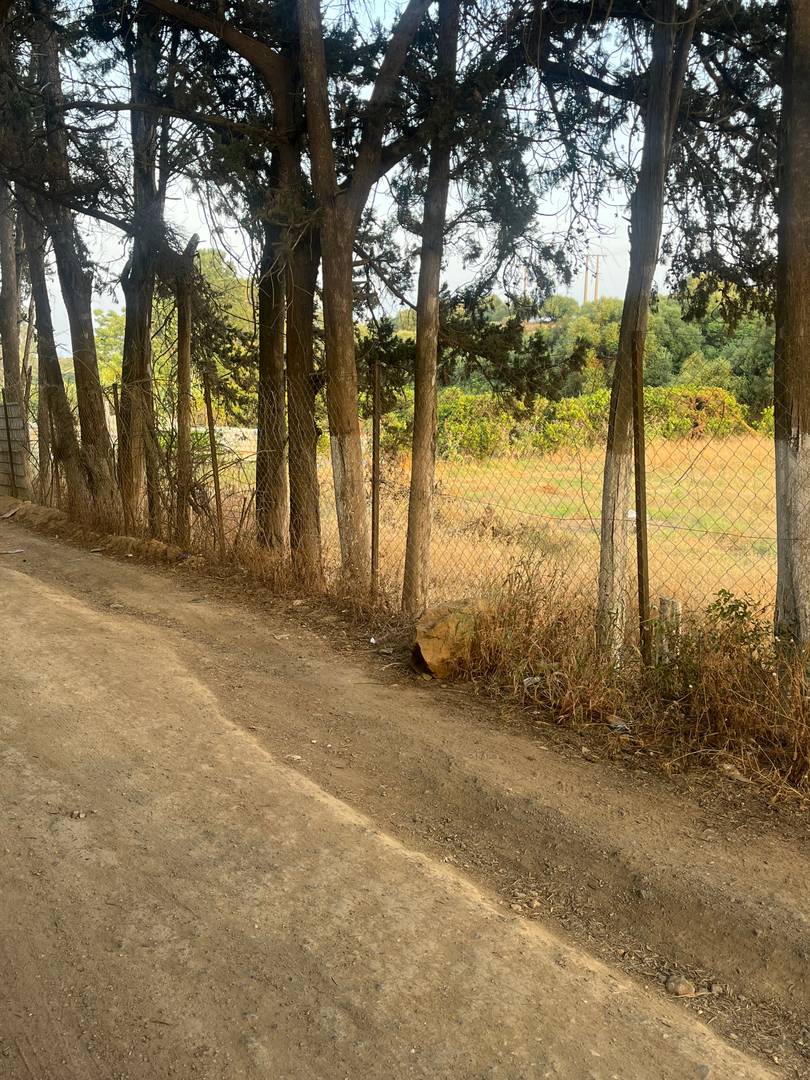 À VENDRE – TERRAIN AGRICOLE ENTRE KOLEA ET BARBISSA