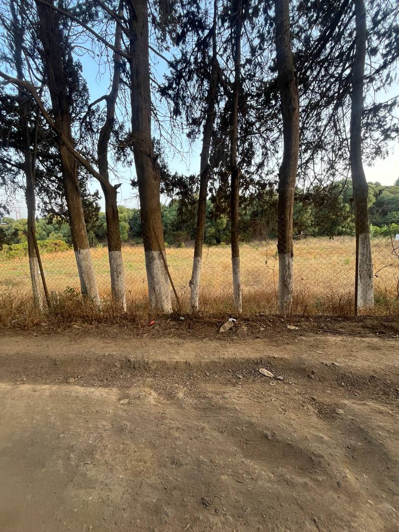 À VENDRE – TERRAIN AGRICOLE ENTRE KOLEA ET BARBISSA