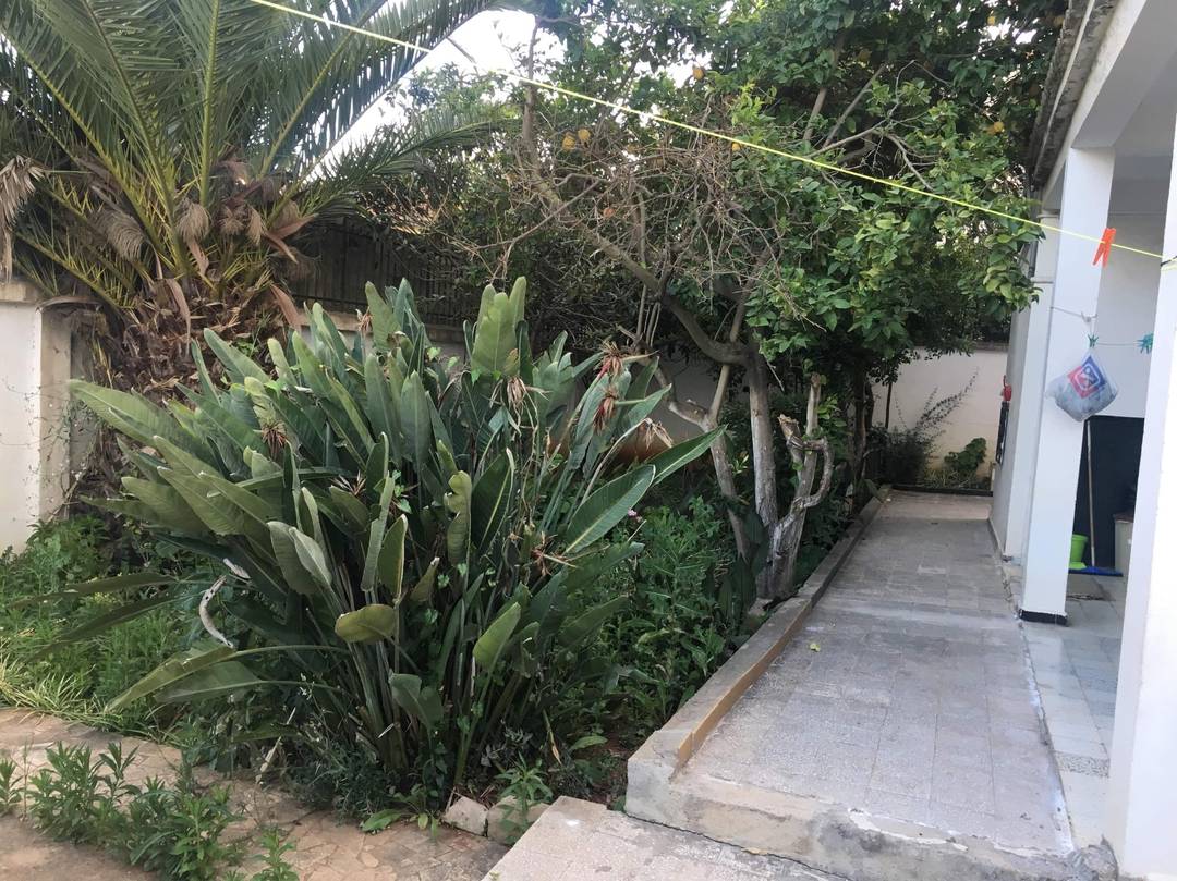 Villa a kouba 