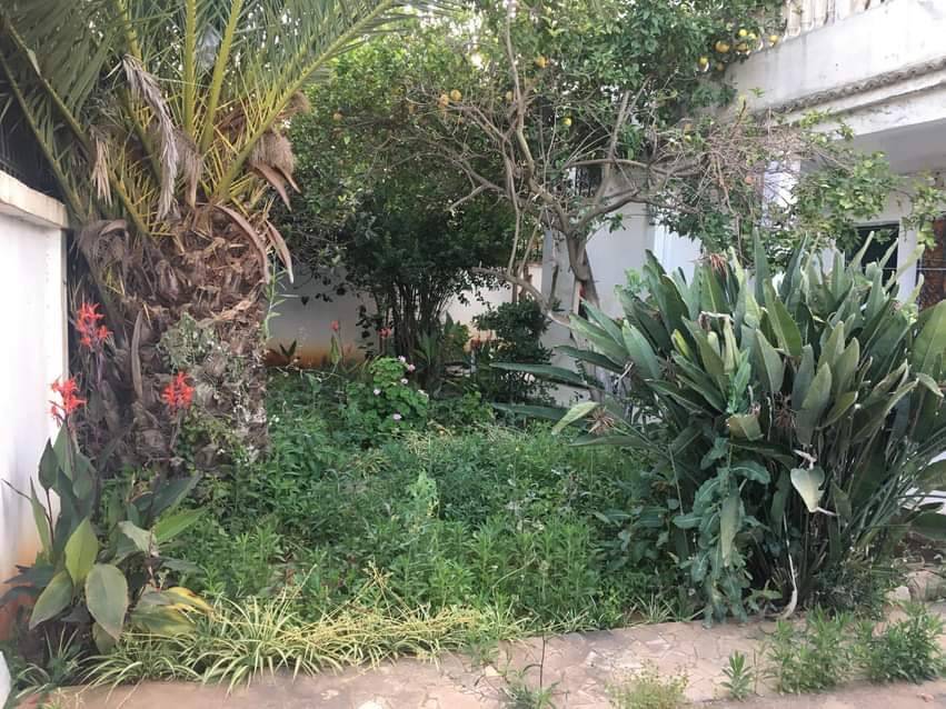 Villa a kouba 
