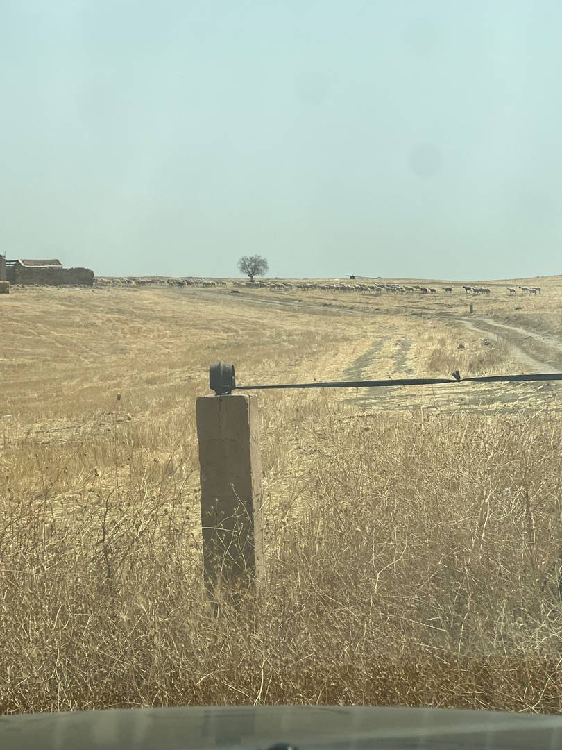 Terrain agricoles TTC