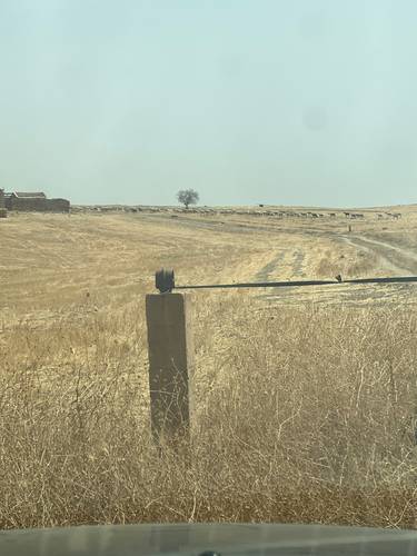 Terrain agricoles TTC