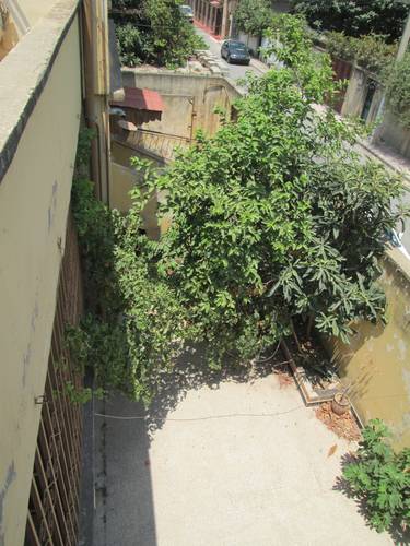 Villa à Bougara Blida