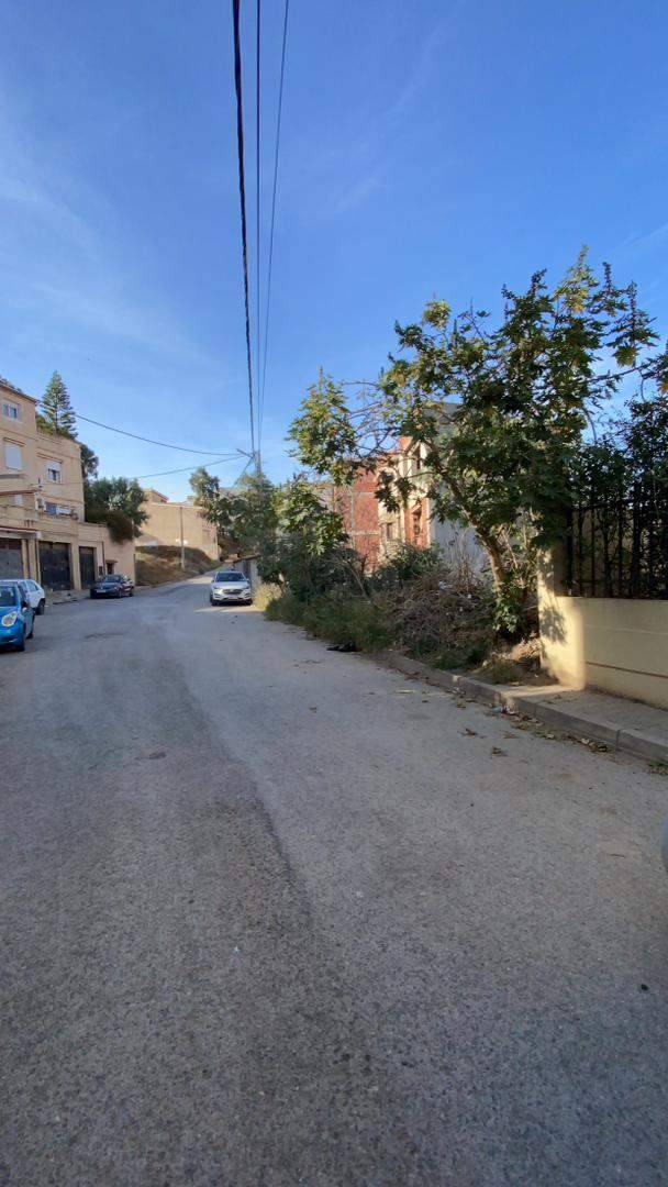 Vente Terrain à Bouzareah, Alger