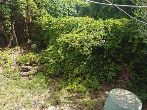 À VENDRE – Appartement T3 à Koléa (Tipaza) – Idéal famille ou profession libérale