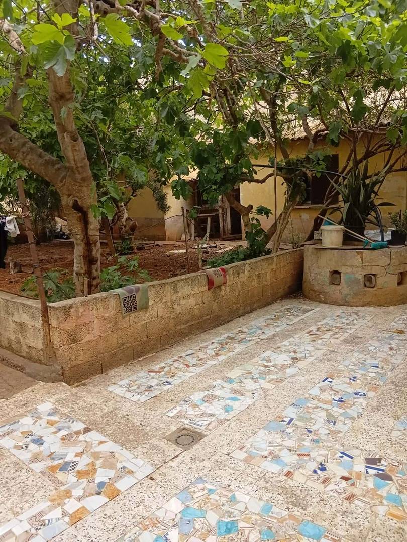 ارض للبيع وسط مدينة وهران boulanger 