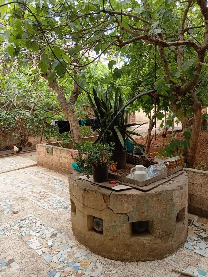 ارض للبيع وسط مدينة وهران boulanger 