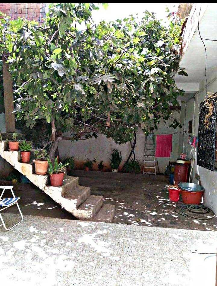 Vente un niveau de villa R