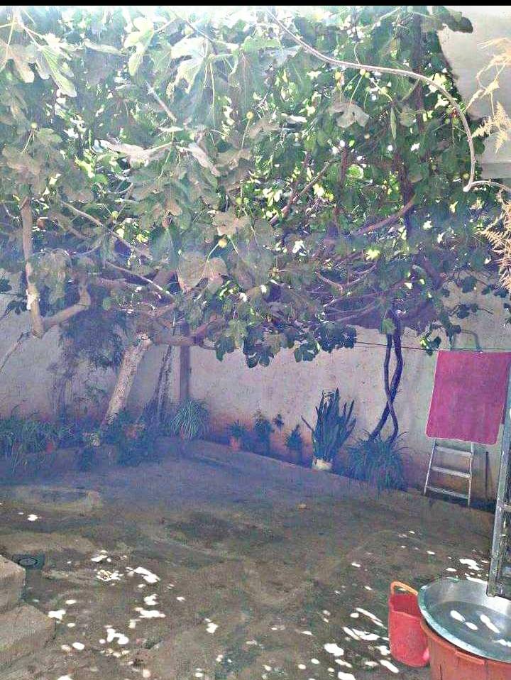 Vente un niveau de villa R