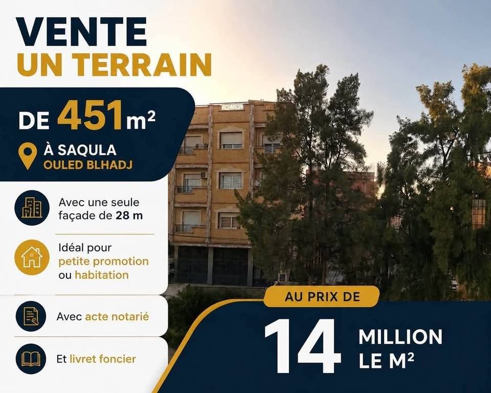 vente terrain saoula
