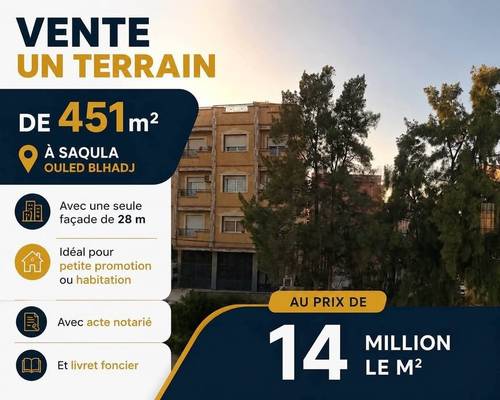 vente terrain saoula