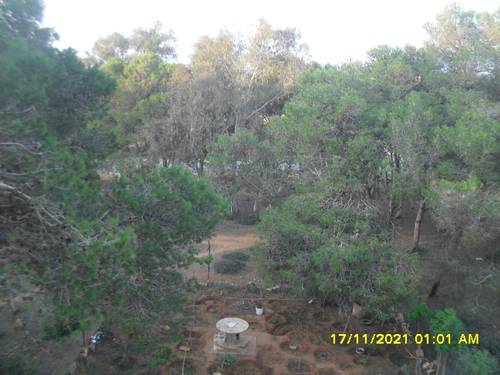 فيلا على البحر والغابة 