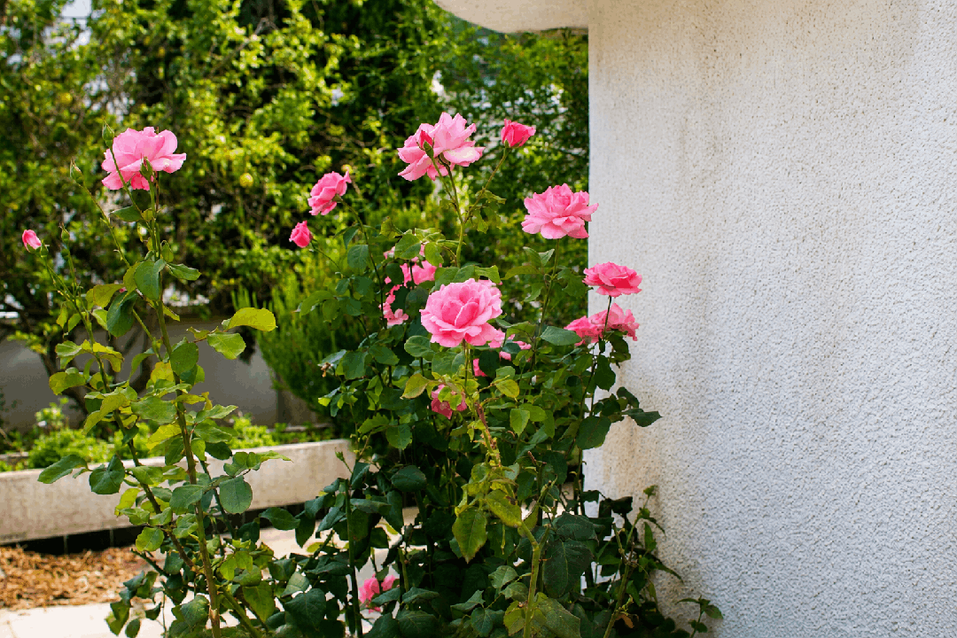 VILLA D'EXCEPTION – HYDRA – QUARTIER DIPLOMATIQUE