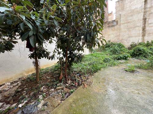 TERRAIN LA ZONE DE BEJAIA