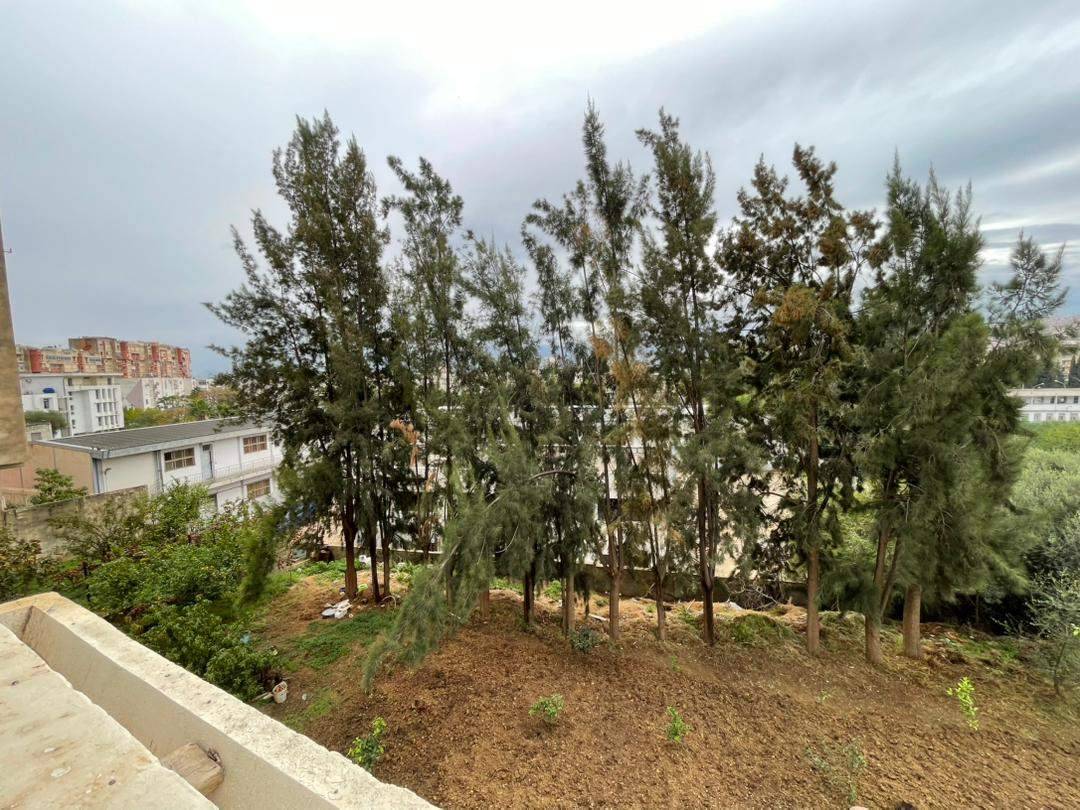 F4 DAWADJI