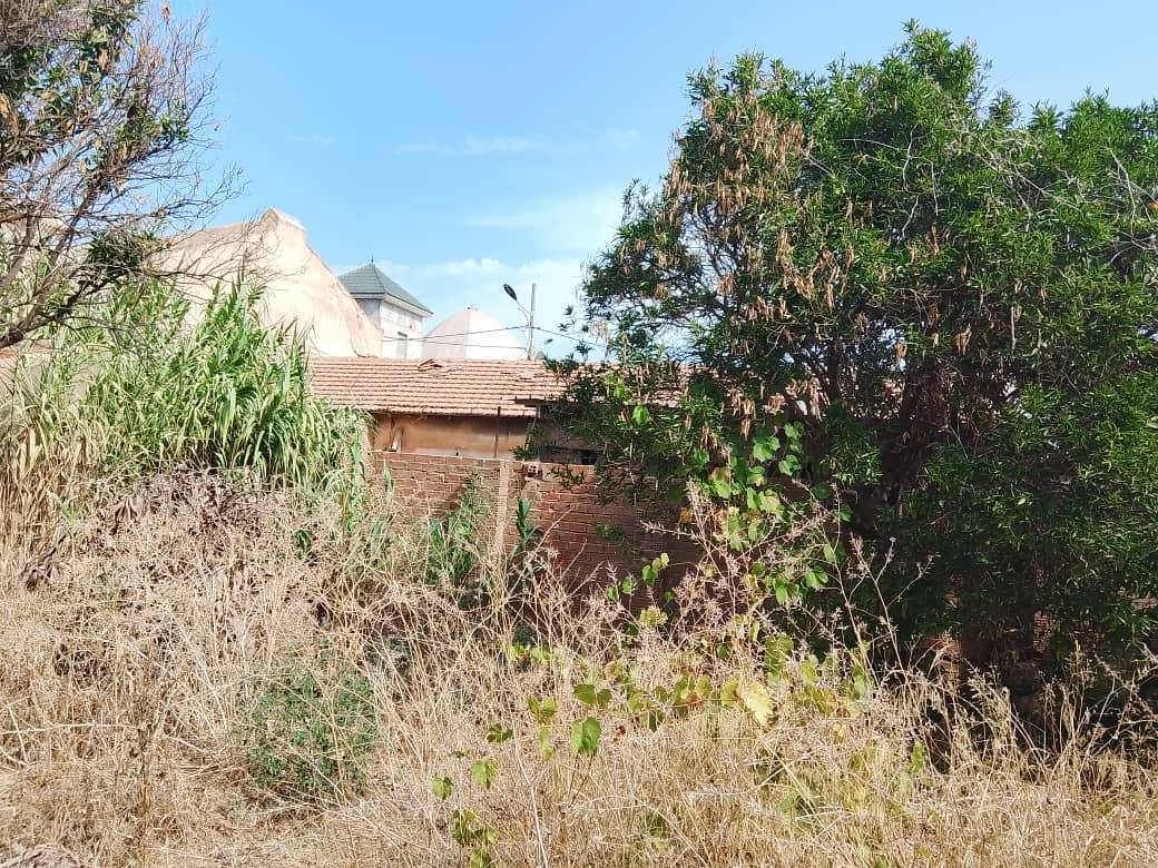 terrain à vendre en plein coeur de tipaza