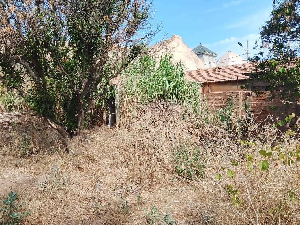 terrain à vendre en plein coeur de tipaza