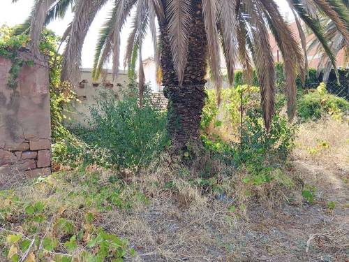 terrain à vendre en plein coeur de tipaza