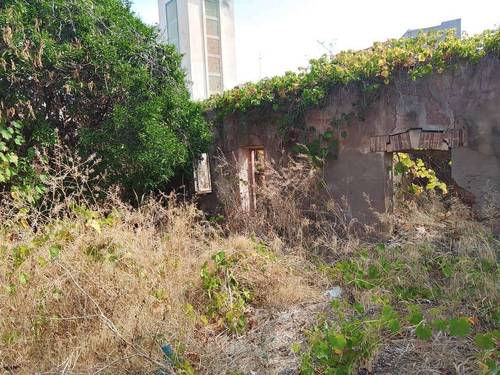 terrain à vendre en plein coeur de tipaza