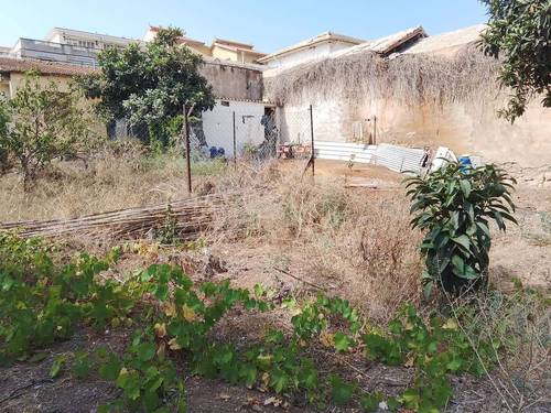 terrain à vendre en plein coeur de tipaza