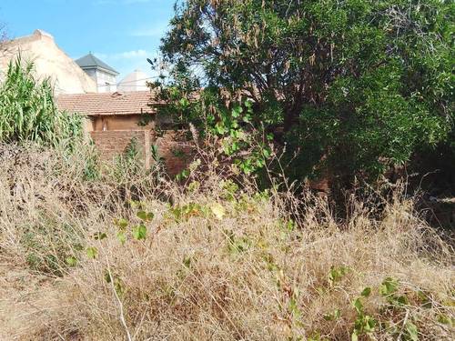 terrain à vendre en plein coeur de tipaza