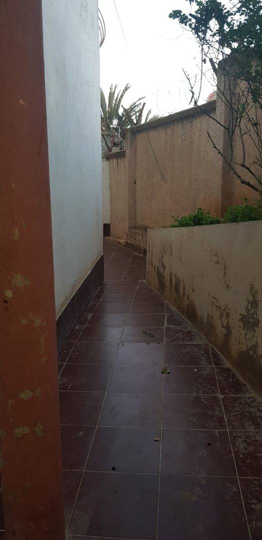 Vente Appartement Bouzareah