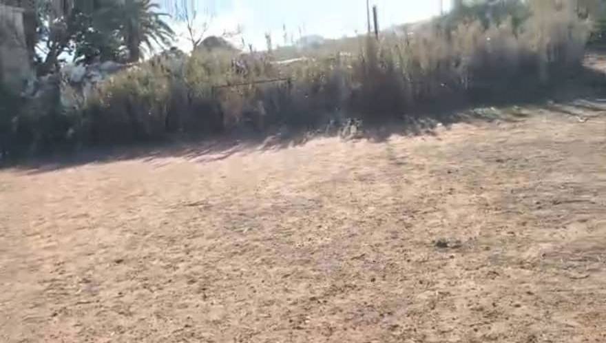  Terrain en Vente – Fouka Marine, Route Principale