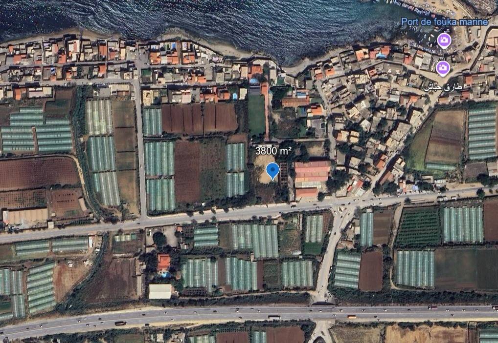  Terrain en Vente – Fouka Marine, Route Principale
