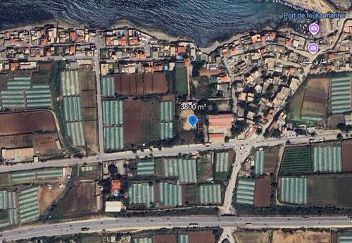  Terrain en Vente – Fouka Marine, Route Principale