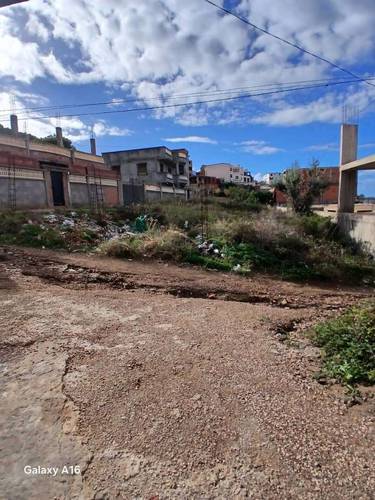 🏞️ Terrain en Vente – El Beldj, Tipaza