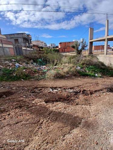 🏞️ Terrain en Vente – El Beldj, Tipaza