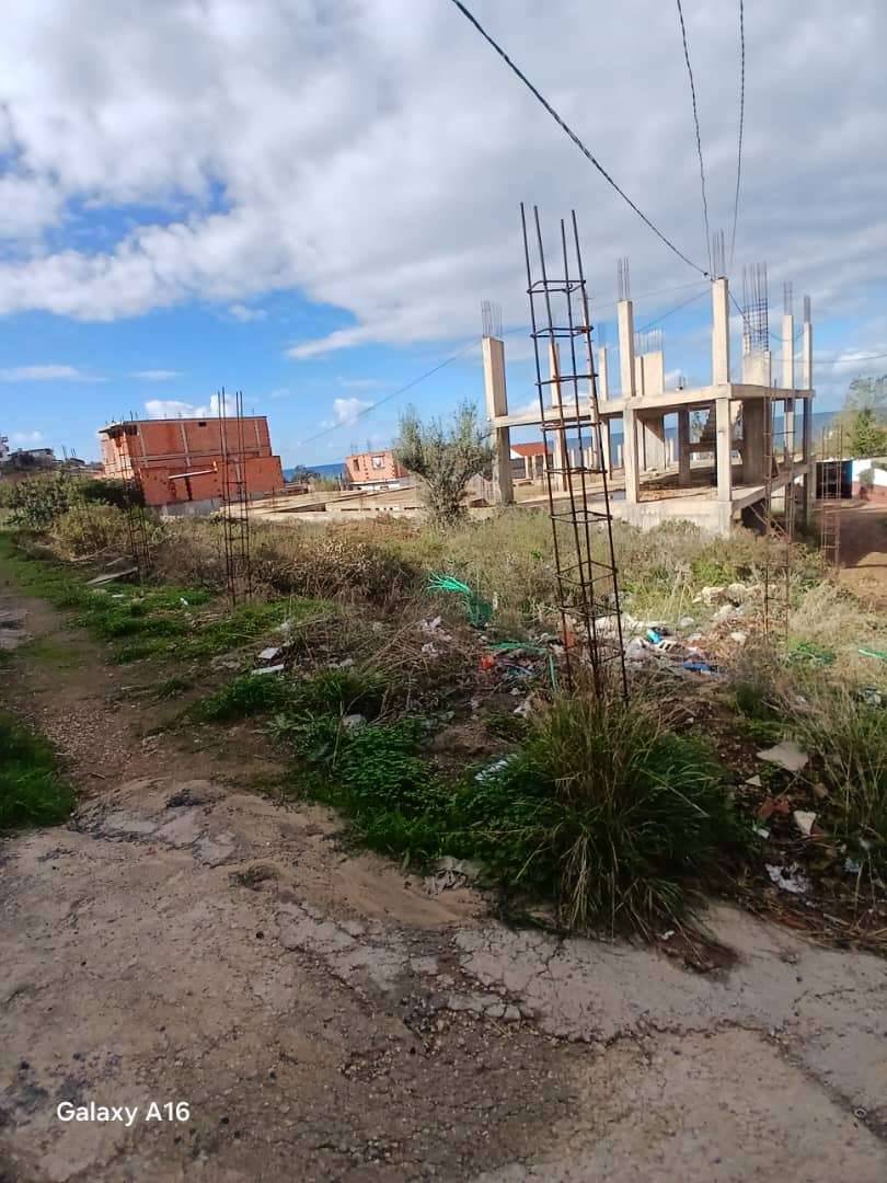 🏞️ Terrain en Vente – El Beldj, Tipaza